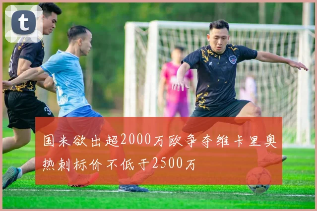 国米欲出超2000万欧争夺维卡里奥热刺标价不低于2500万