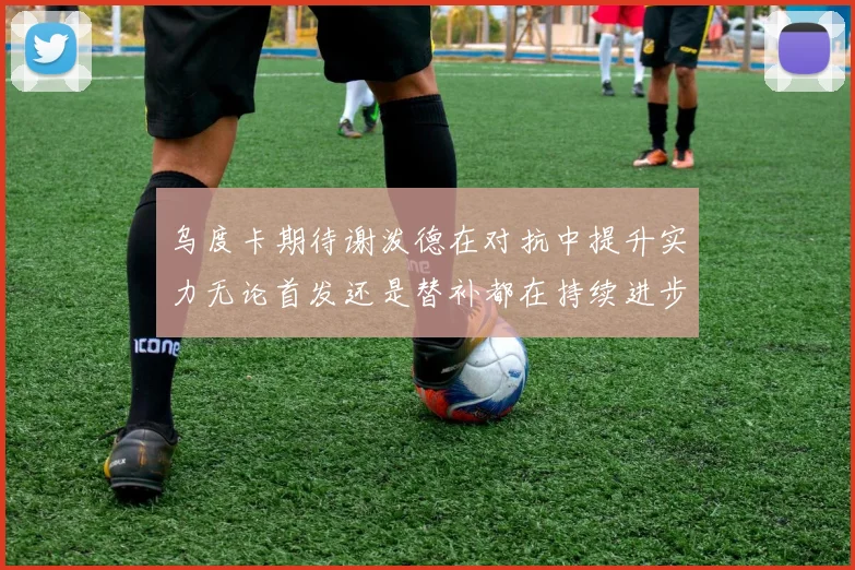 乌度卡期待谢泼德在对抗中提升实力无论首发还是替补都在持续进步